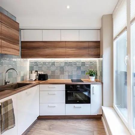 Vingriu Street By Reside Baltic Apartment Vilnius